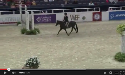 Watch Caroline Passarelli and Little Black Pearl in their winning round!