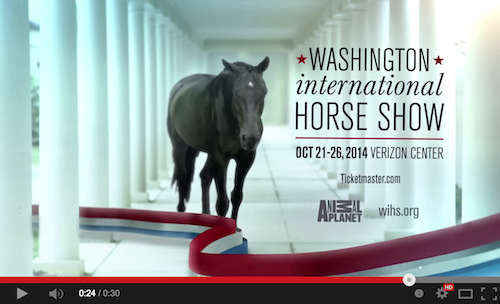 Click here to watch the fantastic promotional video for this year's Washington International Horse Show!