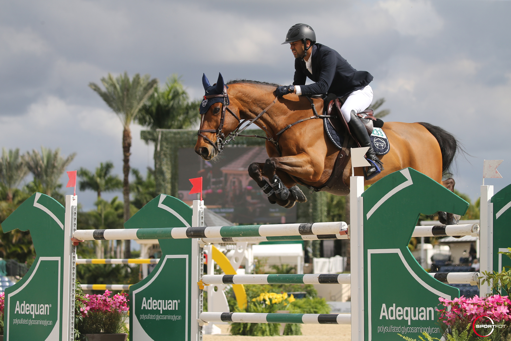 Nayel Nassar Blazes the Trail in the $50,000 Adequan® WEF Challenge Cup Series Round Three CSI4*