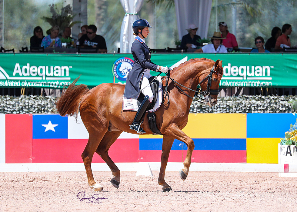 Jennifer Williams Takes Lövsta Future Challenge Young Horse Grand Prix Series Championship on Joppe K at AGDF 11