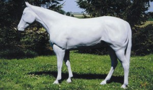 These life-size fiberglass horses will be decorated by 20 different not-for-profits from the Calgary and surrounding communities.