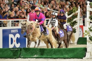 The 2014 WIHS Shetland Pony Steeplechase Championship Series, presented by Charles Owen, will be held at the Devon Horse Show on May 26 and at the Washington International Horse Show on Barn Night, Oct. 23 and Grand Prix Night, Oct. 25.  Photo © Shawn McMillen Photography.