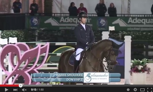 Watch Harrie Smolders and Don VHP Z in their jump-off round! http://youtu.be/nEkL52iaQXs